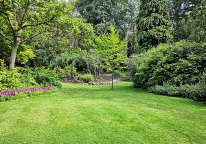 Optimiser l'expérience du jardin à Wierre-au-Bois